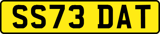 SS73DAT