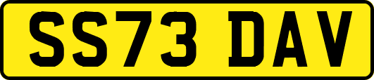 SS73DAV
