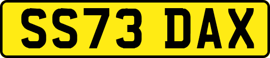 SS73DAX