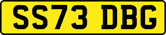 SS73DBG