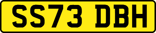 SS73DBH