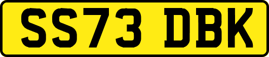SS73DBK