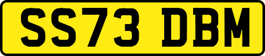 SS73DBM