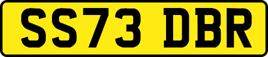SS73DBR
