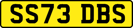 SS73DBS