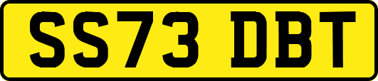 SS73DBT