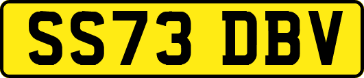 SS73DBV