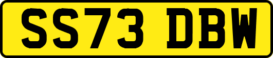 SS73DBW