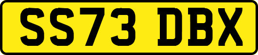 SS73DBX