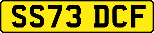 SS73DCF