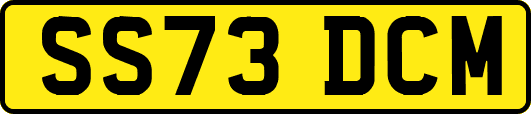 SS73DCM