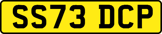 SS73DCP