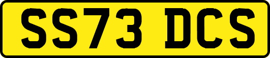 SS73DCS