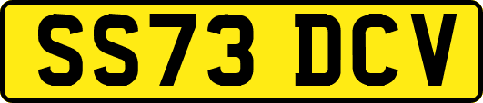 SS73DCV