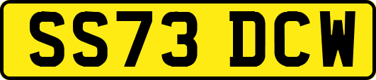 SS73DCW