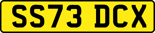 SS73DCX