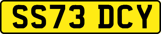 SS73DCY