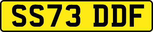 SS73DDF