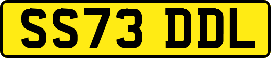 SS73DDL