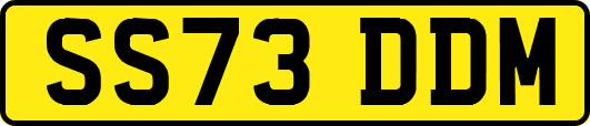 SS73DDM