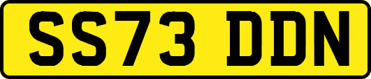 SS73DDN