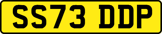 SS73DDP