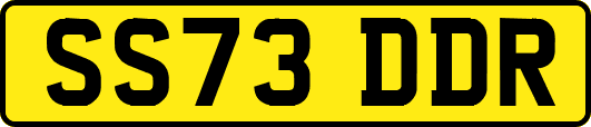 SS73DDR