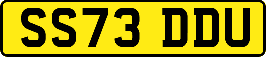 SS73DDU
