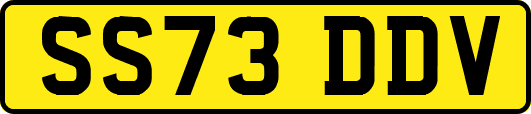 SS73DDV