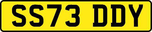 SS73DDY
