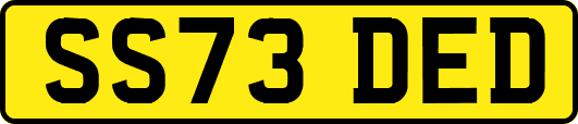 SS73DED