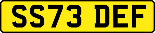 SS73DEF