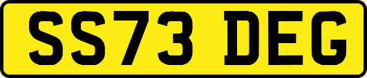 SS73DEG