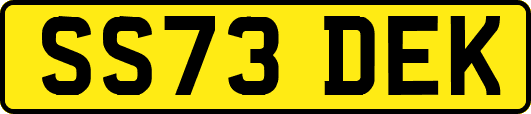 SS73DEK