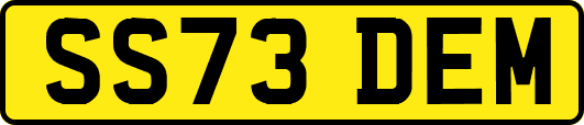 SS73DEM