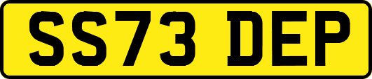 SS73DEP