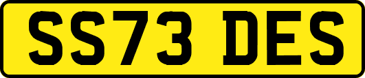 SS73DES