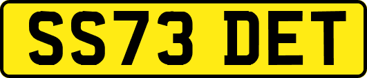 SS73DET