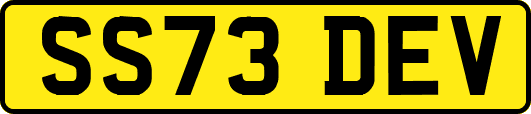 SS73DEV