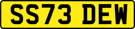 SS73DEW