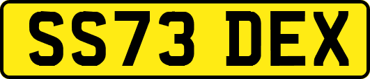 SS73DEX