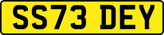 SS73DEY