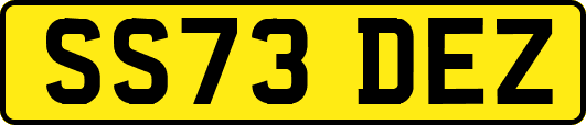 SS73DEZ