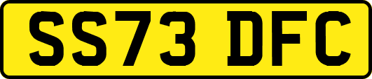 SS73DFC