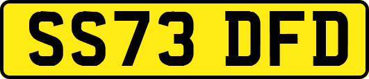 SS73DFD
