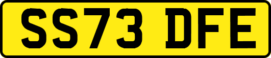 SS73DFE