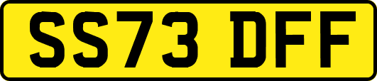 SS73DFF