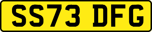 SS73DFG