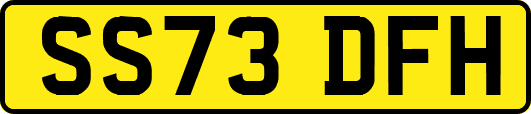 SS73DFH