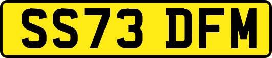 SS73DFM